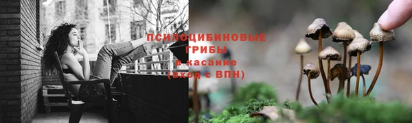 синтетический гашиш Верхний Тагил